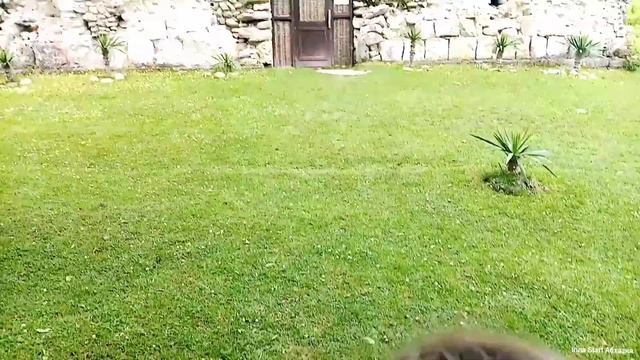 Абхазия! Амбара! смотреть онлайн