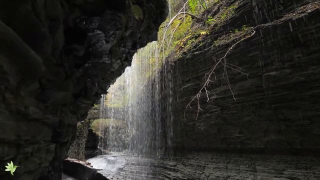 Музыка лечит сердце и сосуды🌿 Успокаивающая музыка восстанавливает нервную систему,расслабляющая #8