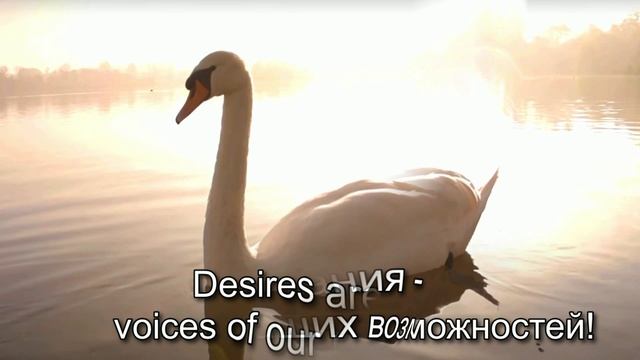 Аффирмации.№167
 Affirmations.№167