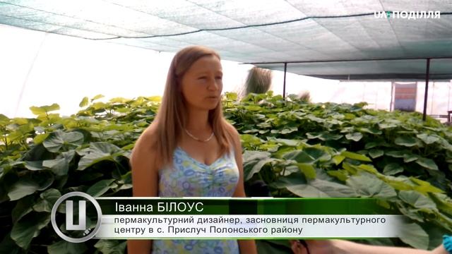 Жителька Полонського району вирощує в своїй садибі трюфелі. смотреть онлайн