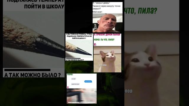#fyp #memes #shorts (8) смотреть онлайн