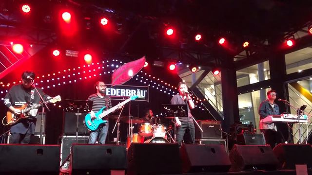 Chihuahua band. Billie Jean. (Cover) смотреть онлайн