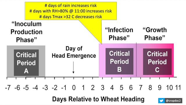 Wheat School: How T3 fungicide impacts winter wheat yield смотреть онлайн