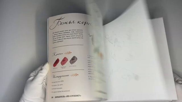 Рисуем акварелью. Лес и его обитатели смотреть онлайн