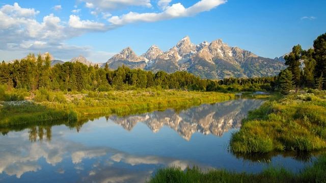 Jonathan Elias. The Great Divide