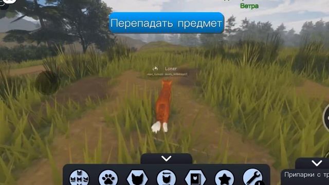 ✨обзор на игру WARRIOR CATS✨ смотреть онлайн