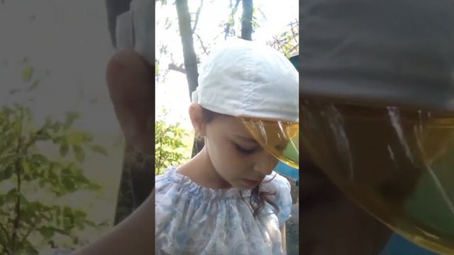 Про лес смотреть онлайн