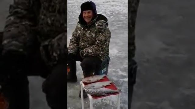Зимняя рыбалка на водоёме КЛЁВой усадьбы. Позитивчик?? смотреть онлайн