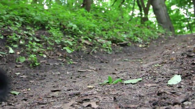 Axial Yeti Rock Racer смотреть онлайн