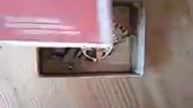 ШИ-11 Шаговый искатель АТС-ДШИМ завода VEF обзор применение смотреть онлайн