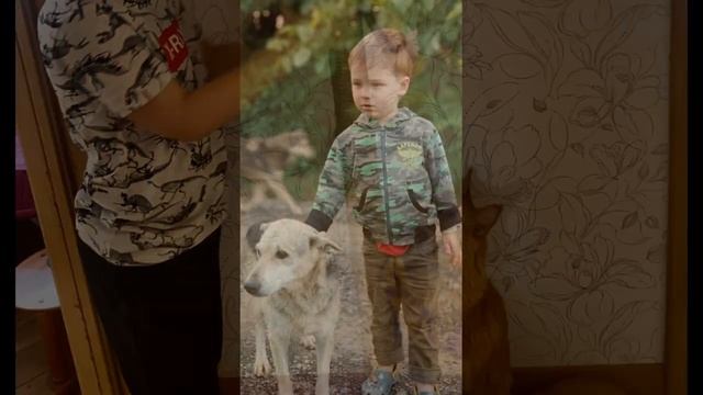 2021.04 Кошки и собаки (Корпус №4) смотреть онлайн