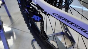 Обзор велосипеда Titan Racing Cerberus Expert (2024)