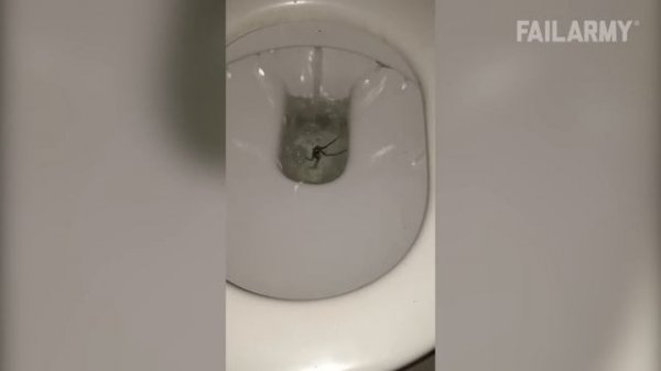 You Wouldn't Believe It! | Unbelievable Fails Compilation