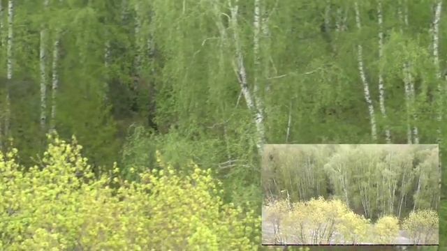 Тестовое видео Panasonic HC-W850 MP4 960×540 25p iFRAME №7 смотреть онлайн