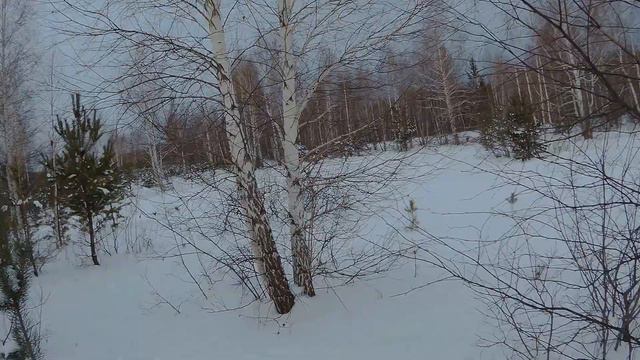 💥С подхода на косулю в одного❗ смотреть онлайн