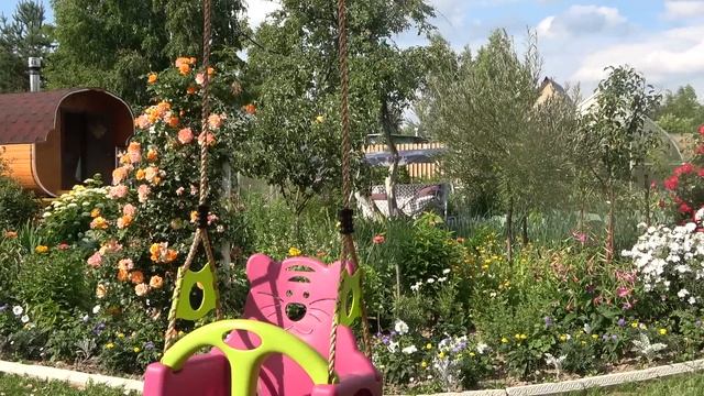 6 соток 12 июля 2022 год. Хроника. Life in the garden смотреть онлайн