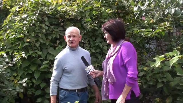 Колючий огурец смотреть онлайн