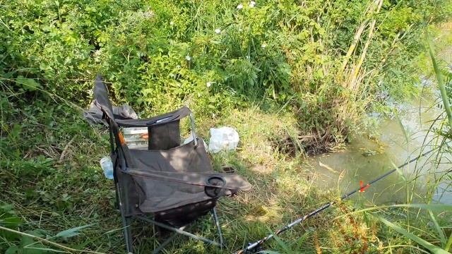 Рыбалка на карася - река Кубань, Анапа, Темрюк смотреть онлайн