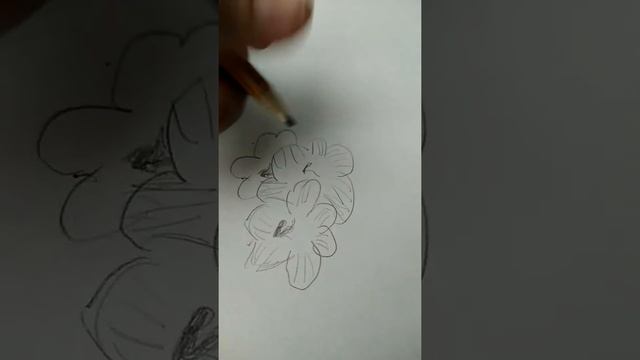 Рисуем гладиолус смотреть онлайн
