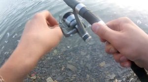 Рыбалка на карася и карпа. В Абрау-Дюрсо| Август 2017.HD