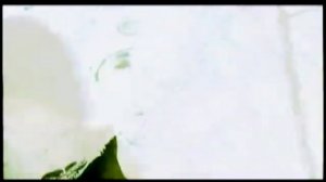 Вис Виталис и Sixtynine - В Белом Гетто