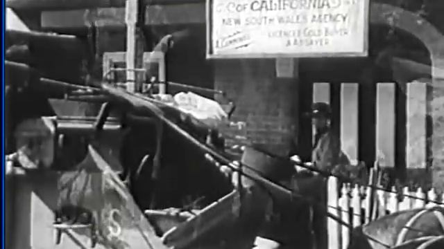 The Kangaroo Kid смотреть онлайн