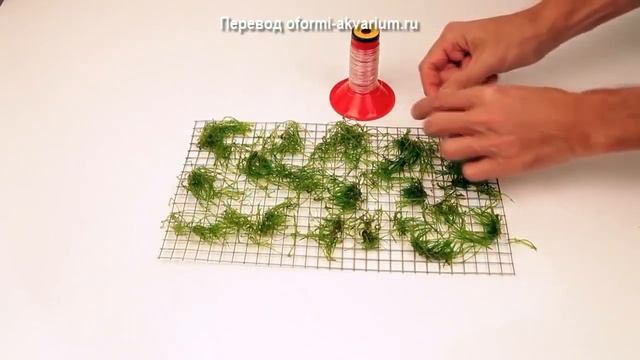 Дизайн аквариума на 100 литров смотреть онлайн
