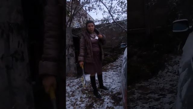 мошенница работадатель барнаул смотреть онлайн