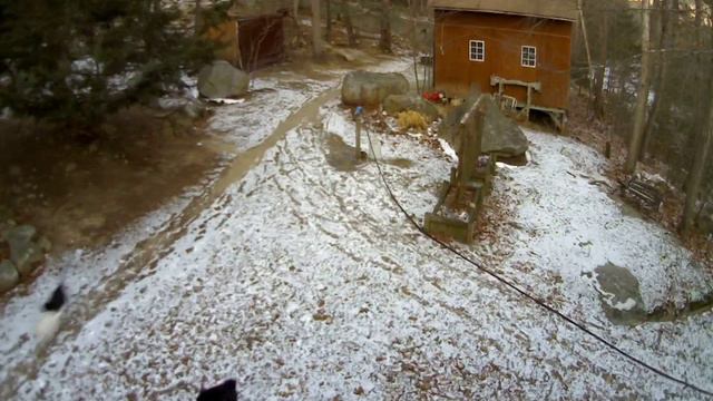 mitzi and munchkin barn / side yard Thu Jan 8 16:15:46 GMT-0500 2015 смотреть онлайн
