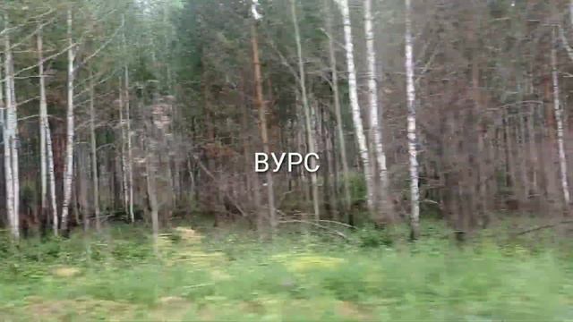 Следы низового лесного пожара в зоне ВУРС и мощность дозы на оси ВУРСа относительно следов пожара. смотреть онлайн