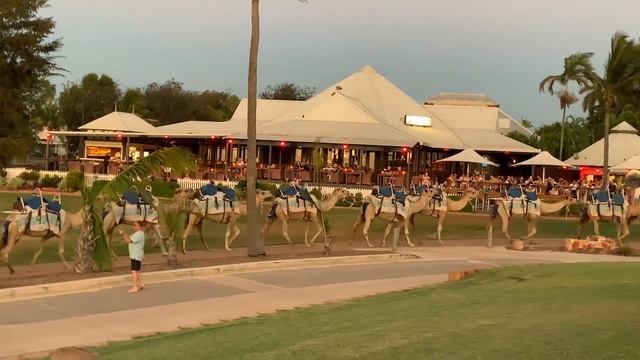 Things To Do In BROOME, Western Australia. Camel Rides On Cable Beach!