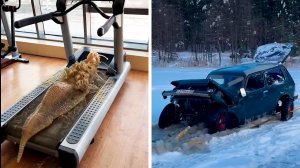 Популярное из Тик Ток (60 часть)