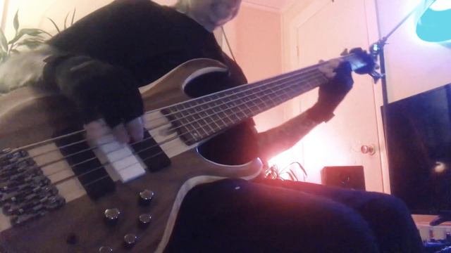 Kid Charlemagne(steely dan) #basscover Ibanez🎸BTB6🎸 смотреть онлайн