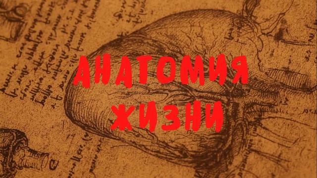 ?Аудио рассказ 'Анатомия жизни'. Девушки и женщины. Смешной рассказ из жизни. смотреть онлайн