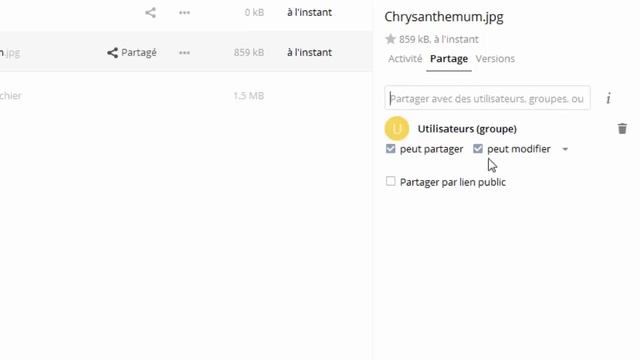 Owncloud : Gestion des partages смотреть онлайн