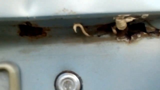 Тойота Королла Е101. Кузовной ремонт. Обзор. смотреть онлайн