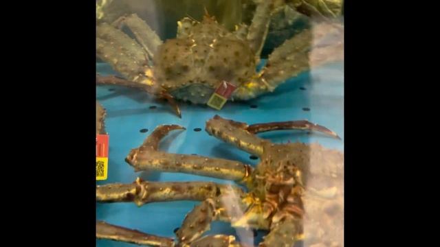 Краб гигант смотреть онлайн