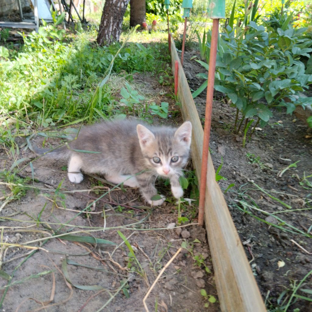 прохожу обби