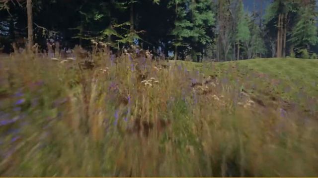 Discrepant   Target Practice