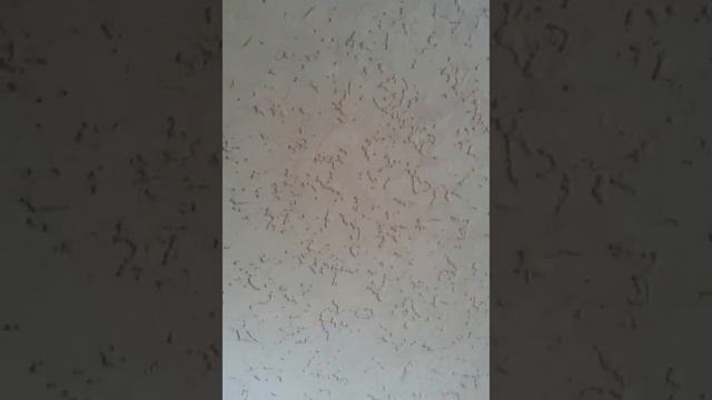 короед)вверх по лестнице смотреть онлайн