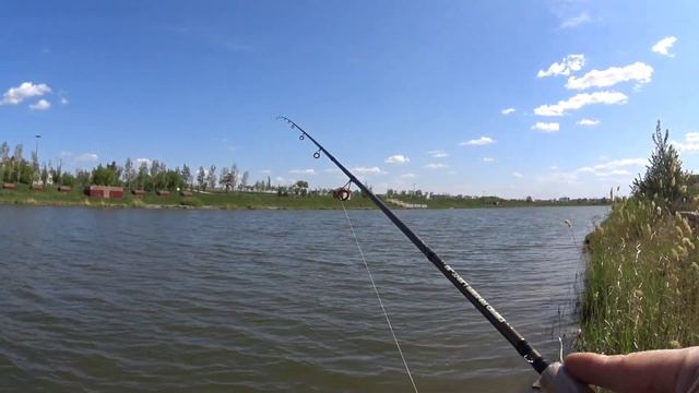 Рыбалка на спиннинг! Окуня разбушевались! смотреть онлайн