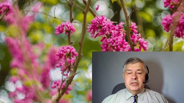 Прогноз Ба Цзы с 6 по 12 марта 2023 года смотреть онлайн