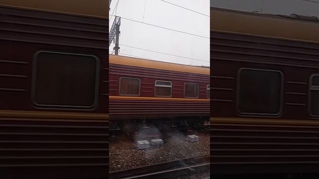 Дорога из отпуска