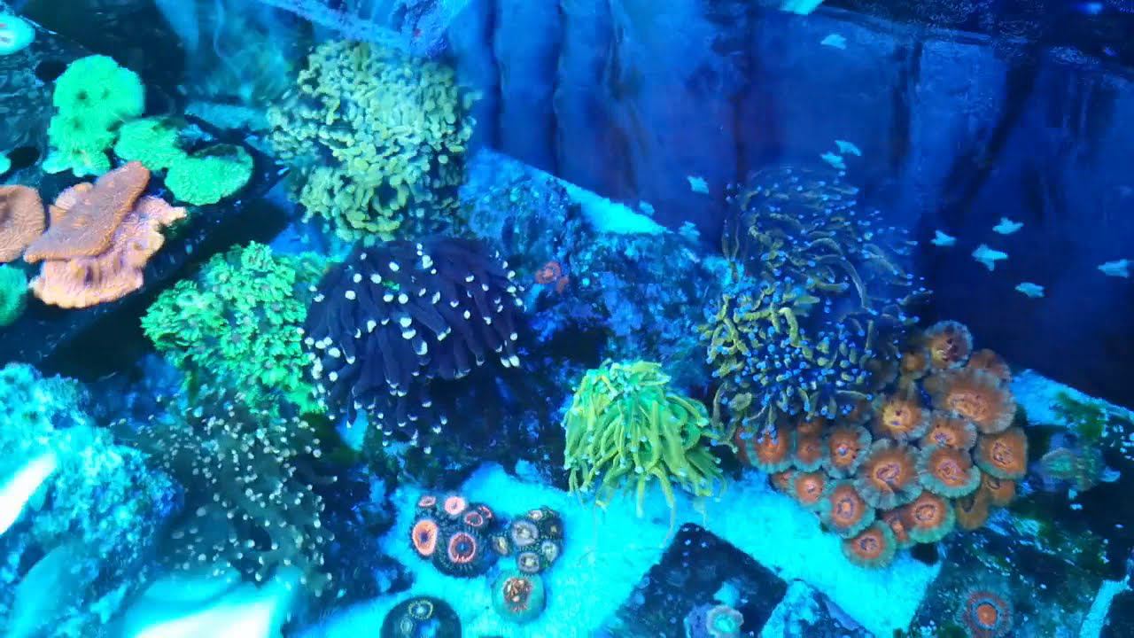My lagoon 12.20 смотреть онлайн