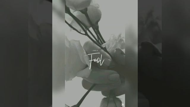 Aesthetic Grey Wallpaper