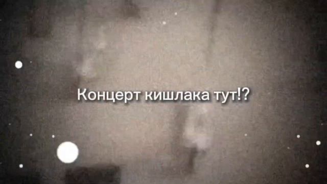 концерт кишлака тут? смотреть онлайн
