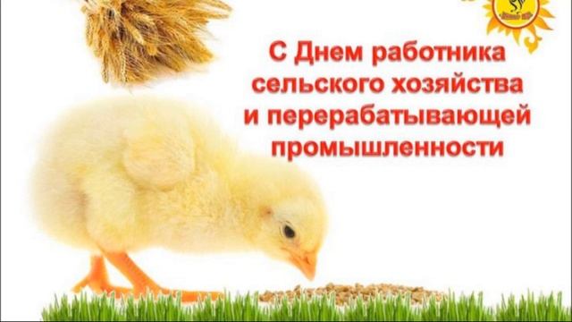 С ДНЕМ РАБОТНИКА СЕЛЬСКОГО ХОЗЯЙСТВА смотреть онлайн