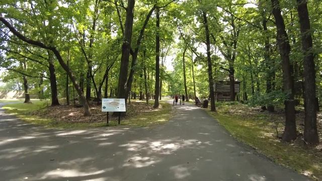 3 - Артикли в английском. Как реально они произносятся и примеры употребления смотреть онлайн
