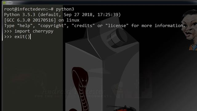 01 Web Attacks using Cherrypi смотреть онлайн