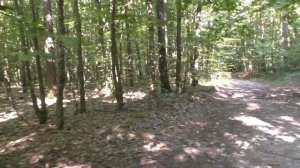 Умирают родители ✅Кто виноват ✅Канал "ДЫДЫНСКИЕ НА СВЯЗИ"